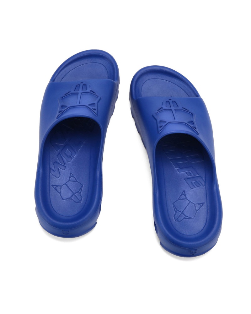 Naked Wolfe Tommy Badeslippers Heren Blauw | ZKT3196US